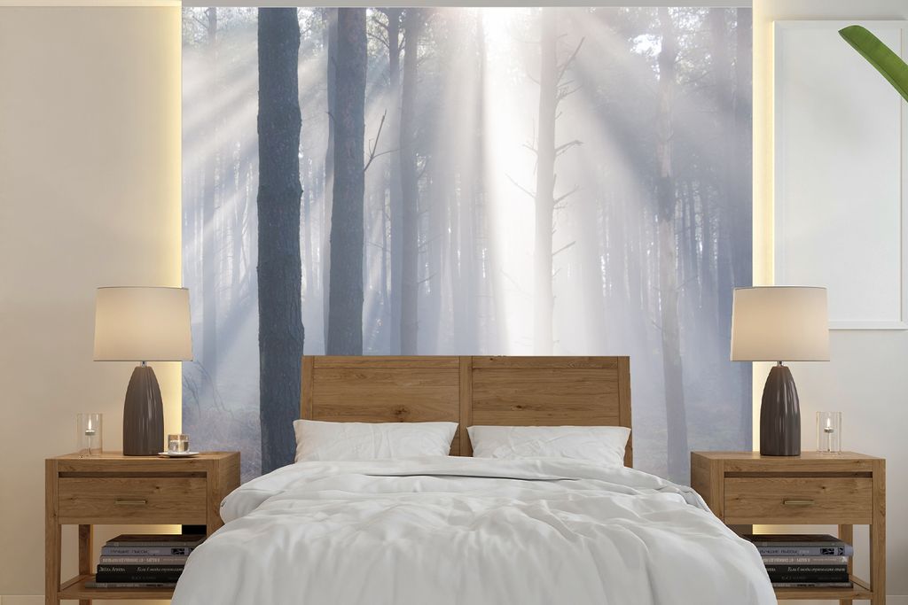MuchoWow Fototapete für Wohnzimmer oder Schlafzimmer Wandtapete Vinyl Motivtapete Sonnenstrahlen leuchten in einem Wald - 240x240 cm - Schlafzim...
