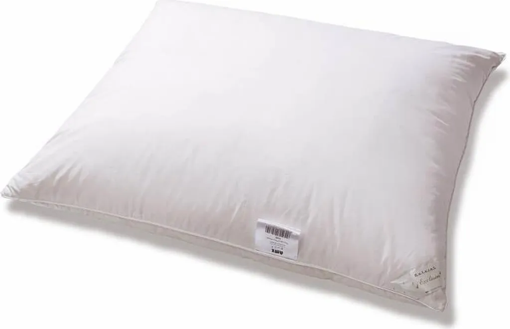 Oreiller 70x80 Duvet d'Oie 70% Basic Plus AMZ Blanc - Gonflant Naturel