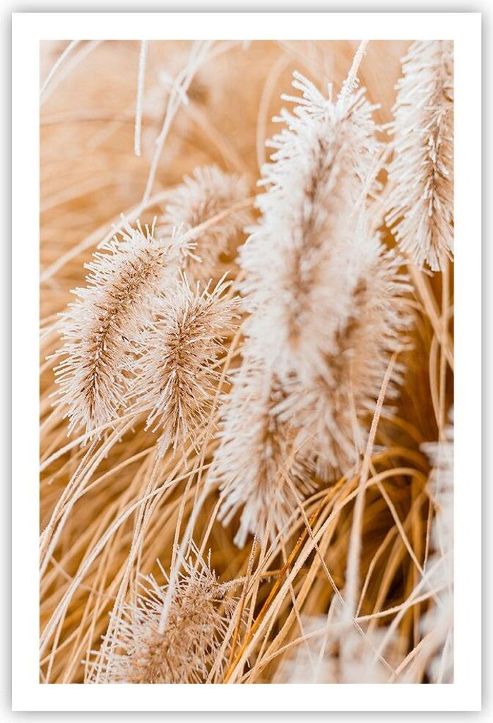 Poster - Poster ohne Rahmen - Gras Boho Licht - 61x91,5 cm - Wand Bild - Wanddeko - Wandbilder - Kunstposter - Wandposter - Bilder - Kunstdruck - W...