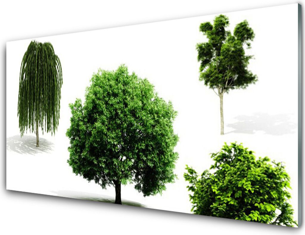 Acrylglasbilder 100x50 Wandbild Druck Bäume Natur