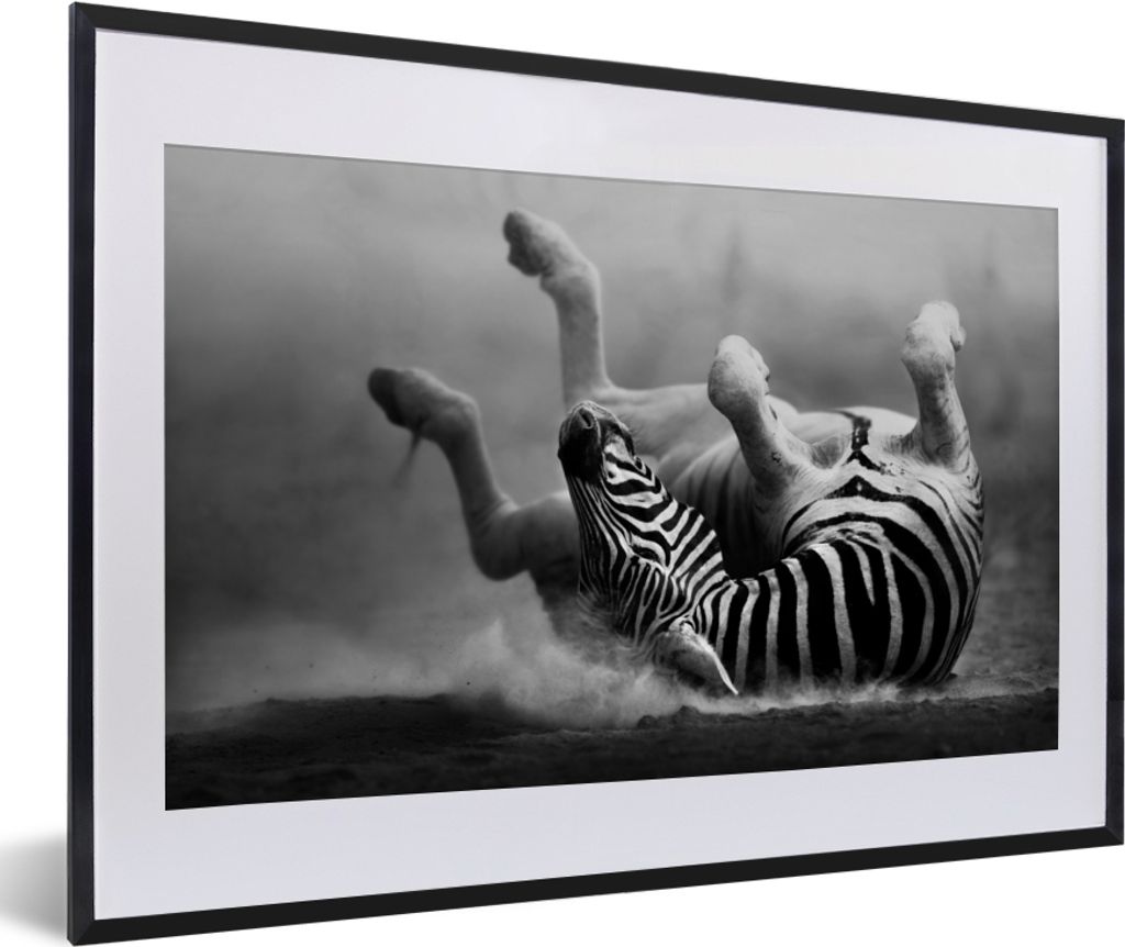 MuchoWow Gerahmtes Poster Zebra - Tiere - Schwarz - Weiß 60x40 cm - Poster mit Schwarzem Bilderrahmen Wandposter Rahmen Foto Bilder - Schlafzimm...