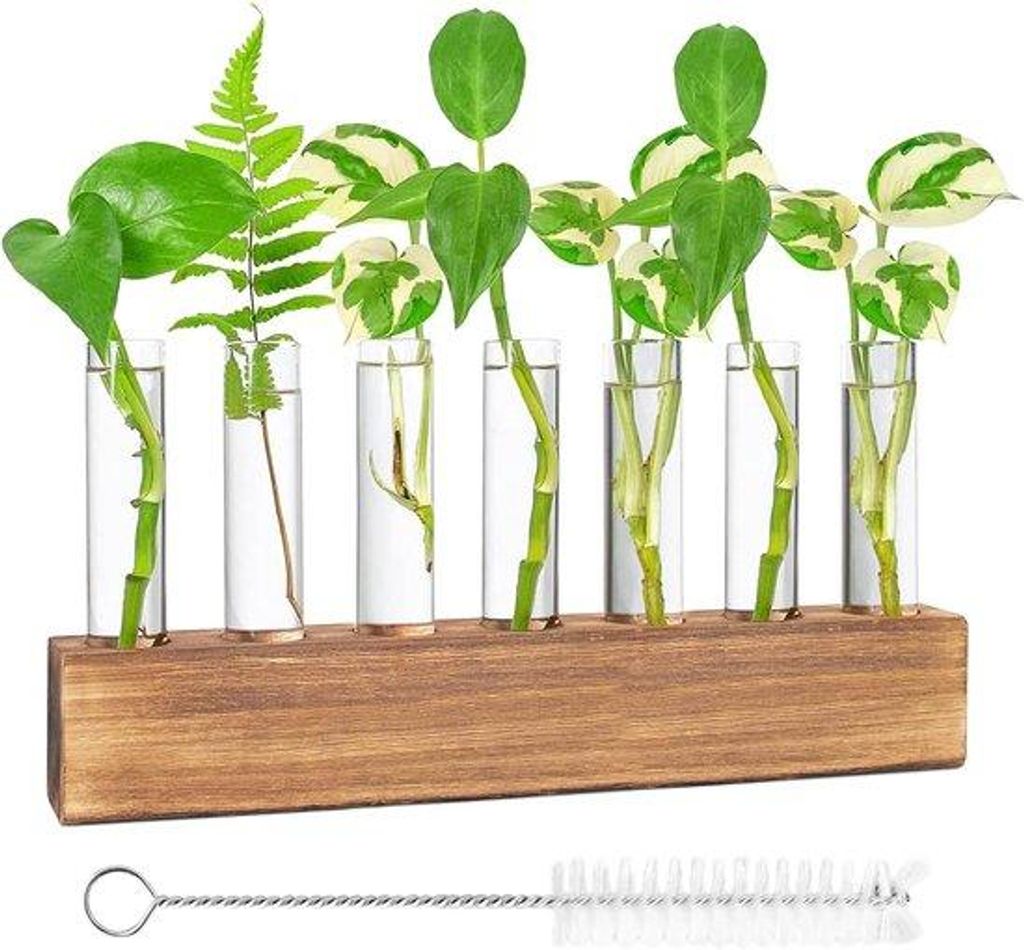 Famanu Blumenvasen Set mit Reagenzgläsern und Holzständer - Modern und Praktisch