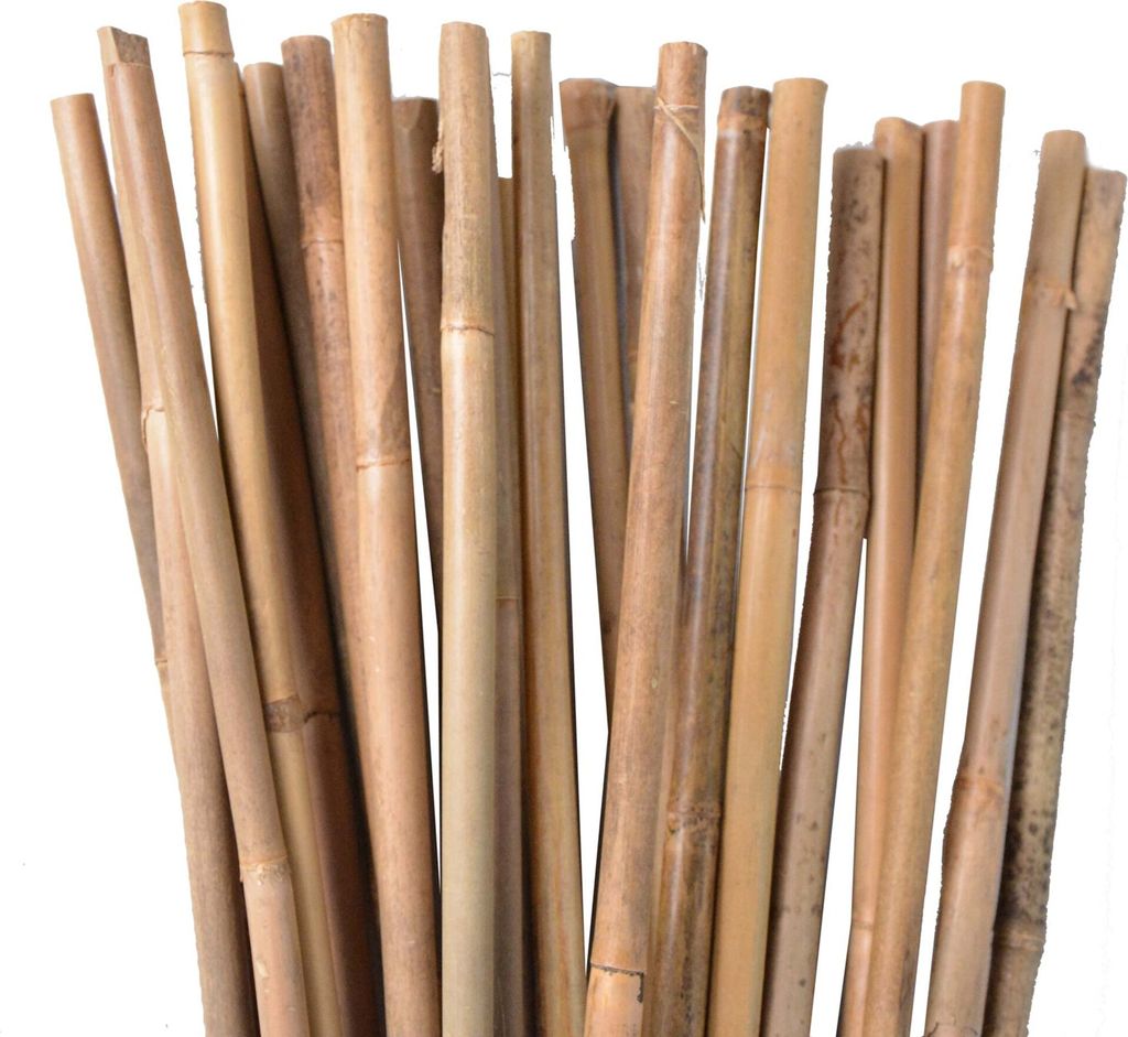 UNUS Bambusstäbe, 25 Pflanzstäbe aus Bambus, 120 cm lang, Produktbild 