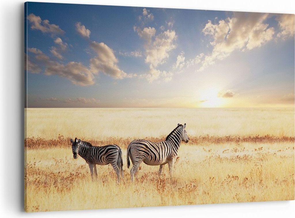 Bild auf Leinwand - Leinwandbild - Zebra tier gestreift savanne - 100x70cm - Wand Bild - Wanddeko - Leinwanddruck - Bilder - Kunstdruck - Wanddekor...