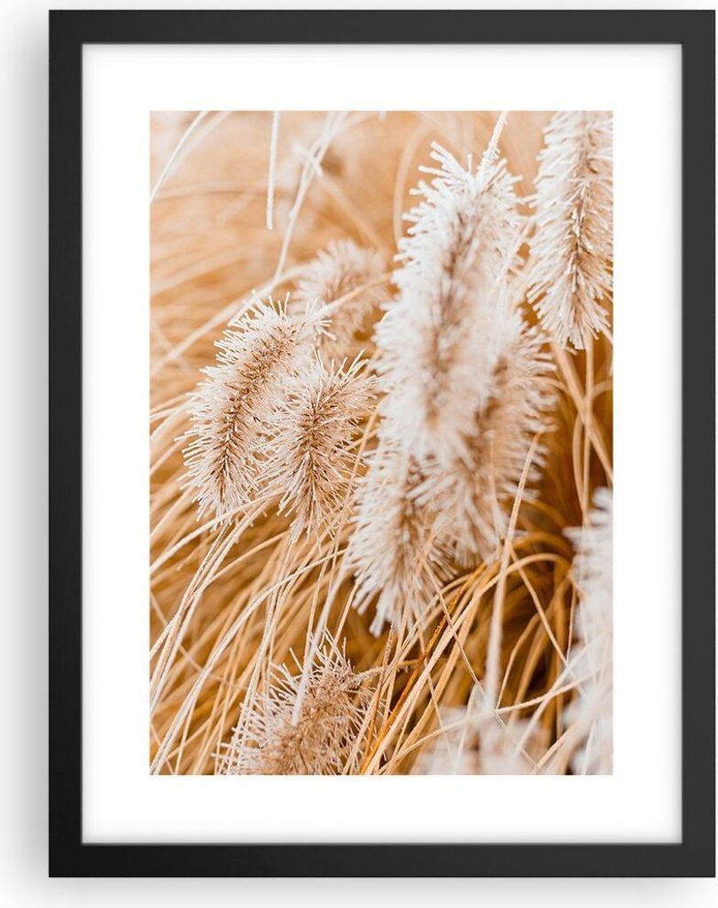 Gerahmtes Poster - Schwarzer Rahmen - Gras Boho Licht - 30x40 cm - Wand Bild - Wanddeko - Wandbilder - Kunstposter - Wandposter - Bilderrahmen - Bi...
