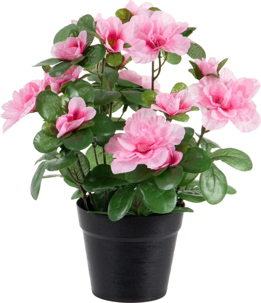 Louis Maes Kunstliche Pflanze Azalee - im Topf - rose - H25 cm