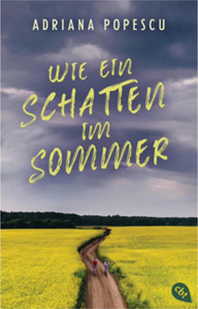 Roman Wie ein Schatten im Sommer pour Lecture Plage et Détente Été