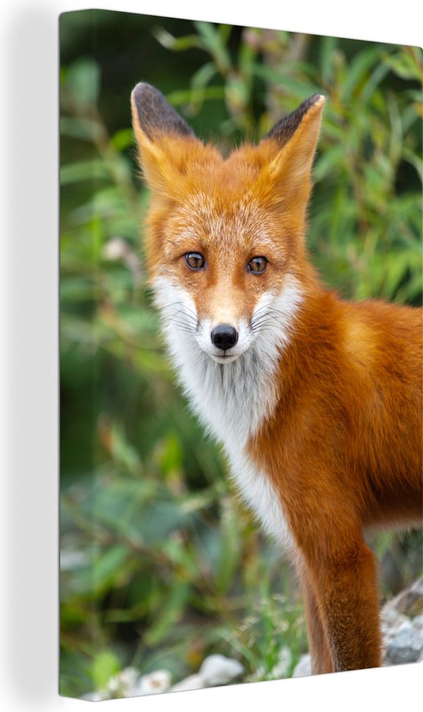 OneMillionCanvasses - Leinwandbilder - 90x140 cm, Fuchs - Orange - Wald, Wandbilder Kunstdruck Wanddekoration - Wandschmucke - Schlafzimmer