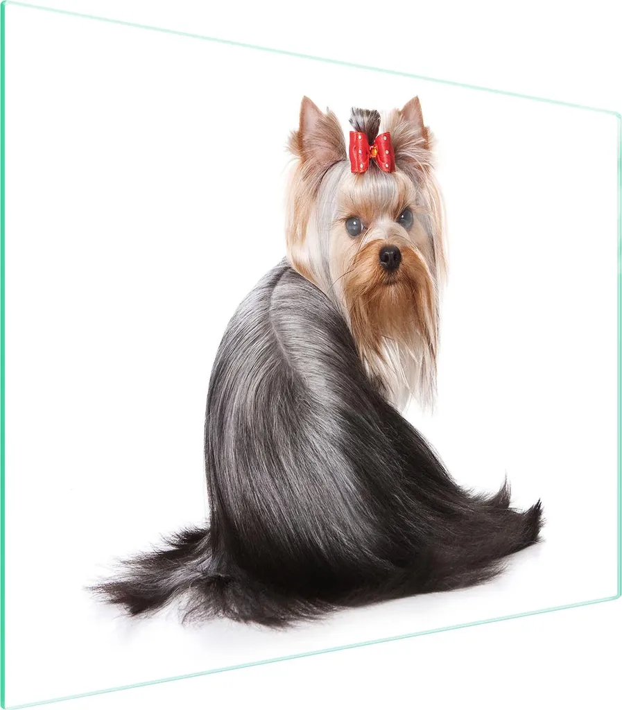 Offerta Tagliere Vetro 52x40 Cane: Il Multiuso Che Aspettavi!
