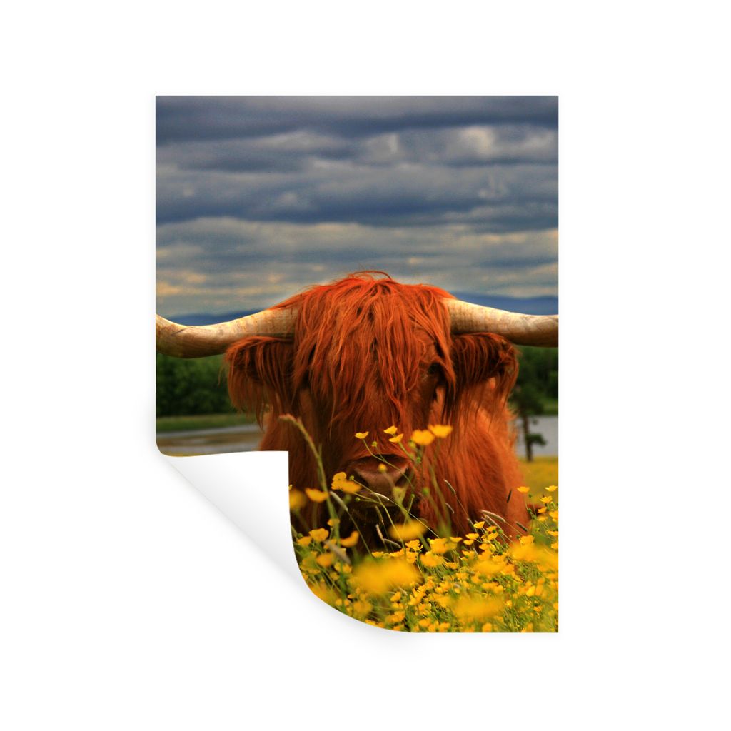MuchoWow Wandtattoo Wandsticker Wandaufkleber Schottischer Highlander - Tiere - Blumen 60x80 cm Selbstklebend und Repositionierbar - Repositionie...