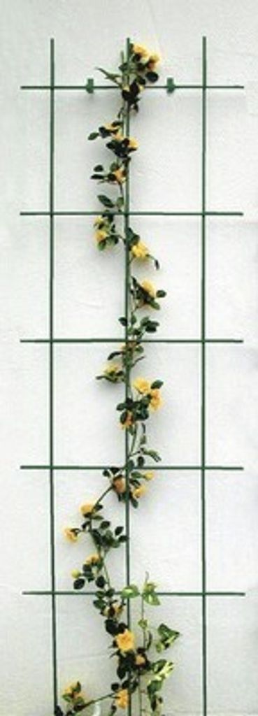 Ozdobná mříž na popínavé rostliny Lafiora kov 0 cm x 45 cm Obrázek produktu 
