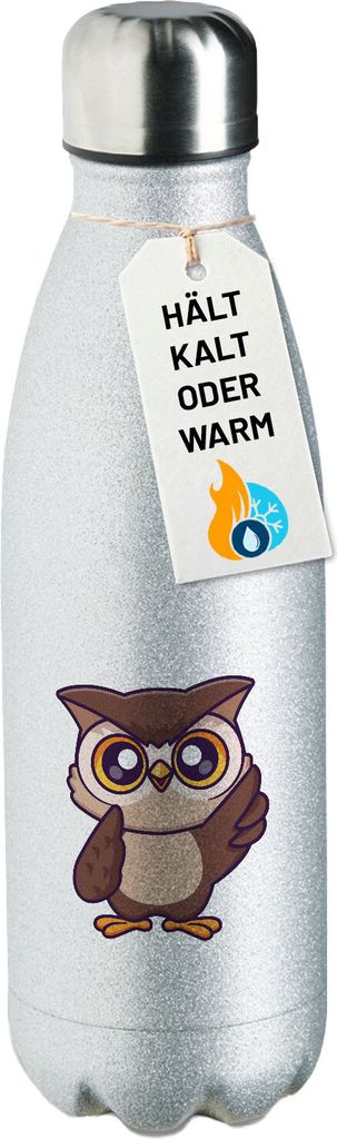 Huuraa Trinkflasche Eule Comic 500ml Silver Edelstahl Wasserflasche Trinkflasche Geschenkidee