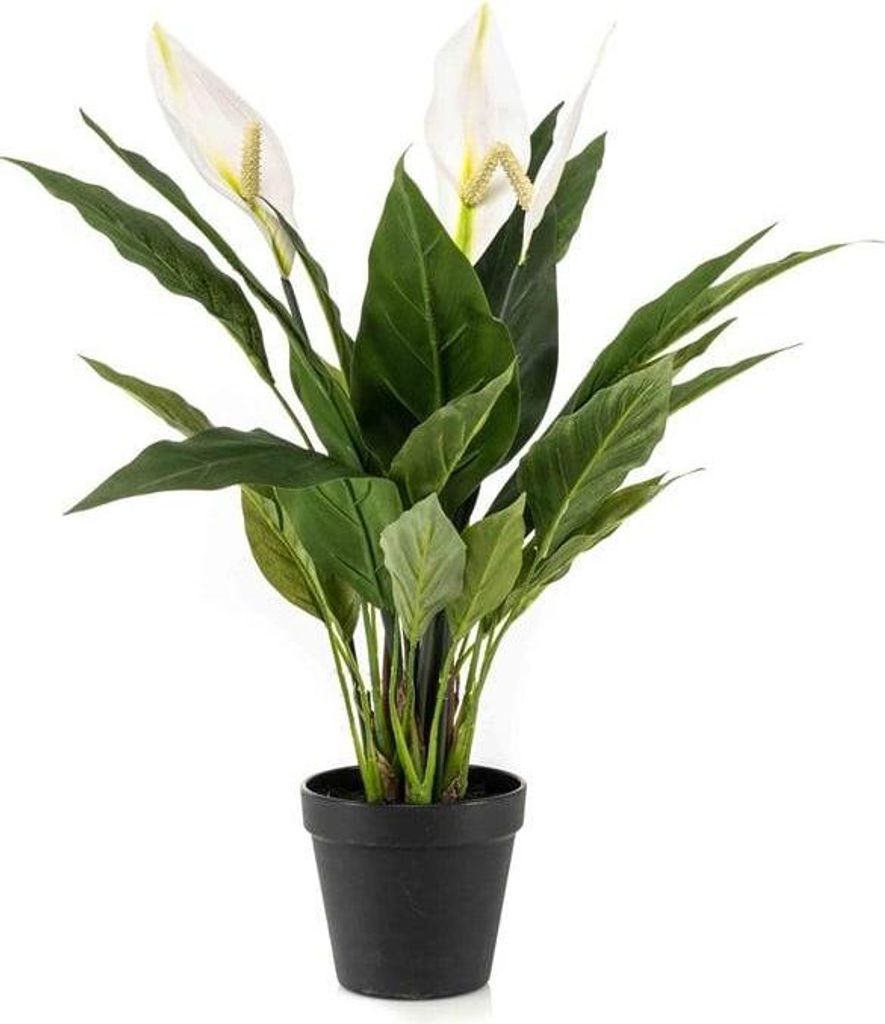 artplants.de Künstliches Einblatt RANIESO, Dekotopf, Blüten, weiß, 55cm - Kunst Spathiphyllum