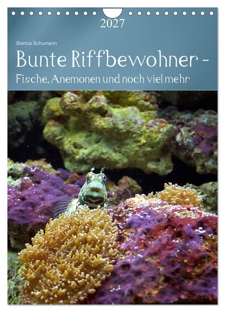 Bunte Riffbewohner - Fische, Anemonen und noch viel mehr (Wandkalender 2027 DIN A4 hoch), CALVENDO Monatskalender