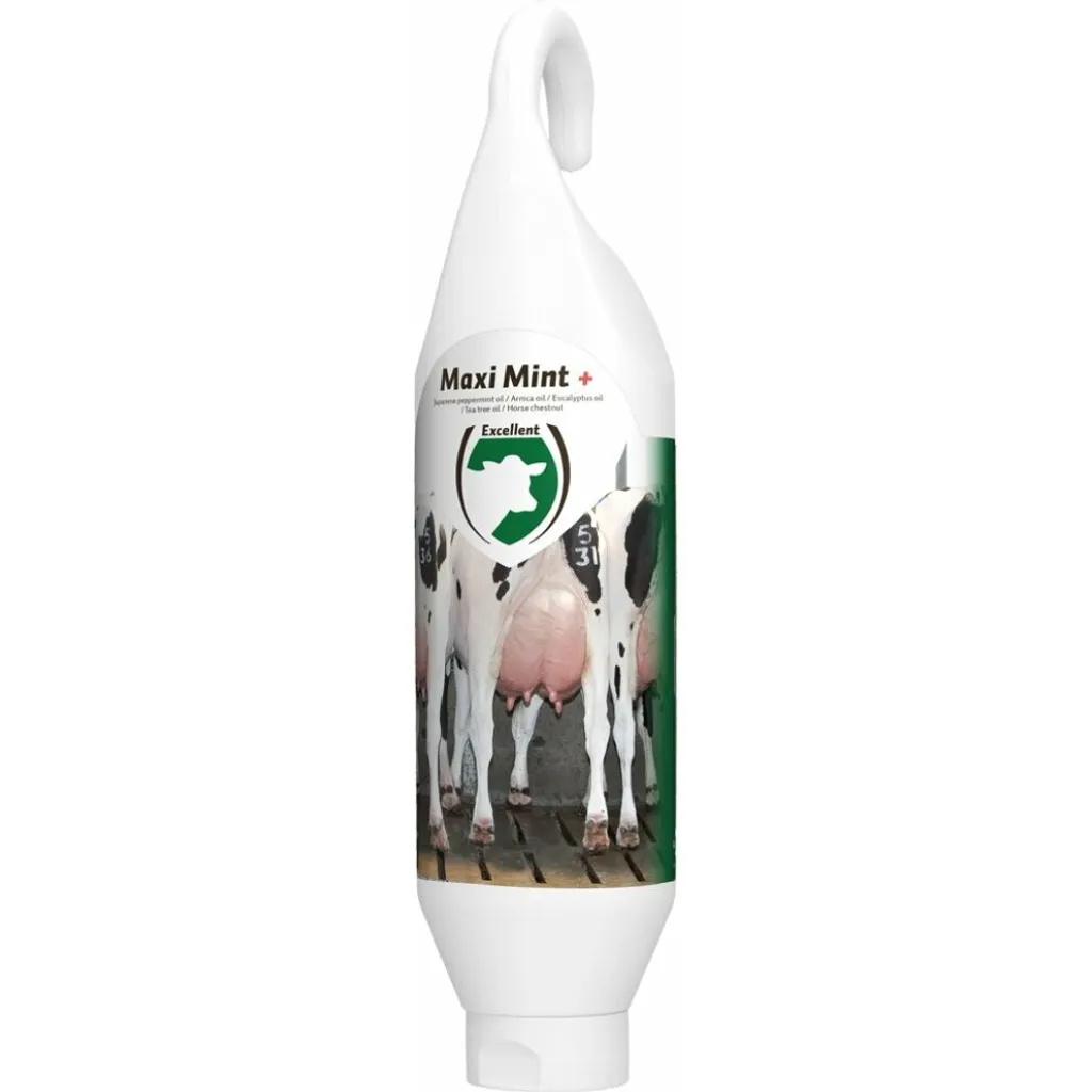 Biberon Maxi Mint Plus anti-goutte pour rongeur à fixer ou à poser