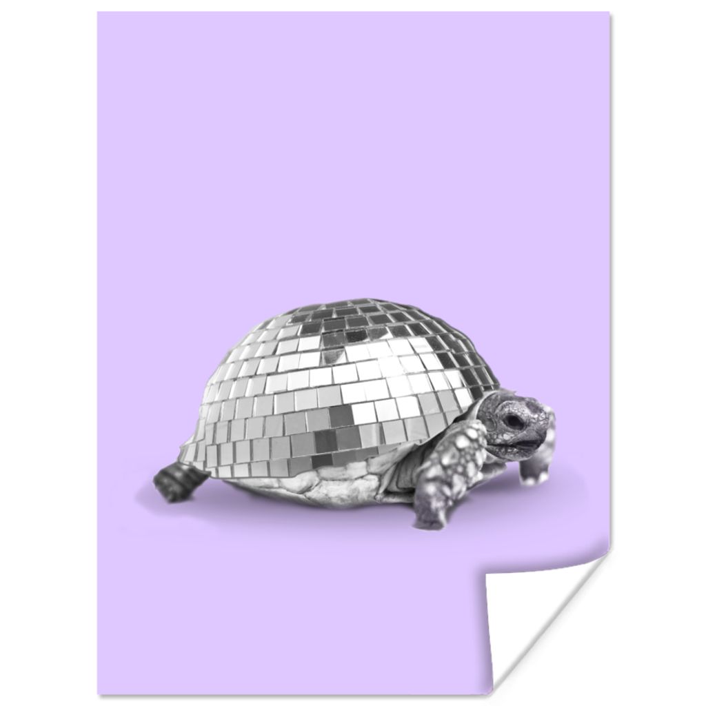 MuchoWow Poster Schildkröte - Discokugel - Disco - Tier - Lila 120x160 cm - Wandbilder