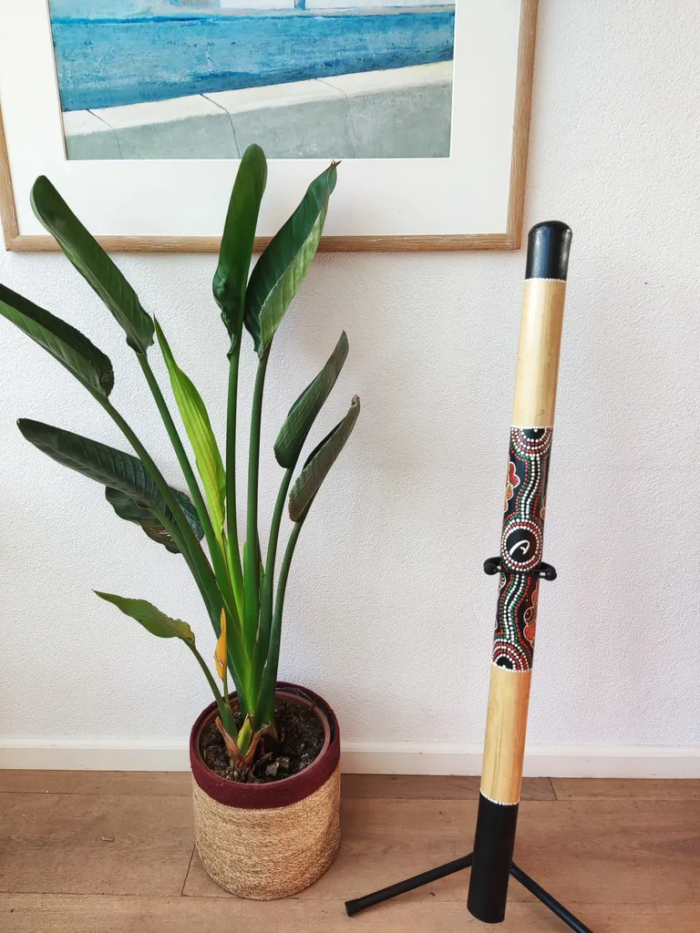 Instrument à vent Didgeridoo 120cm décoré pour initiation musicale