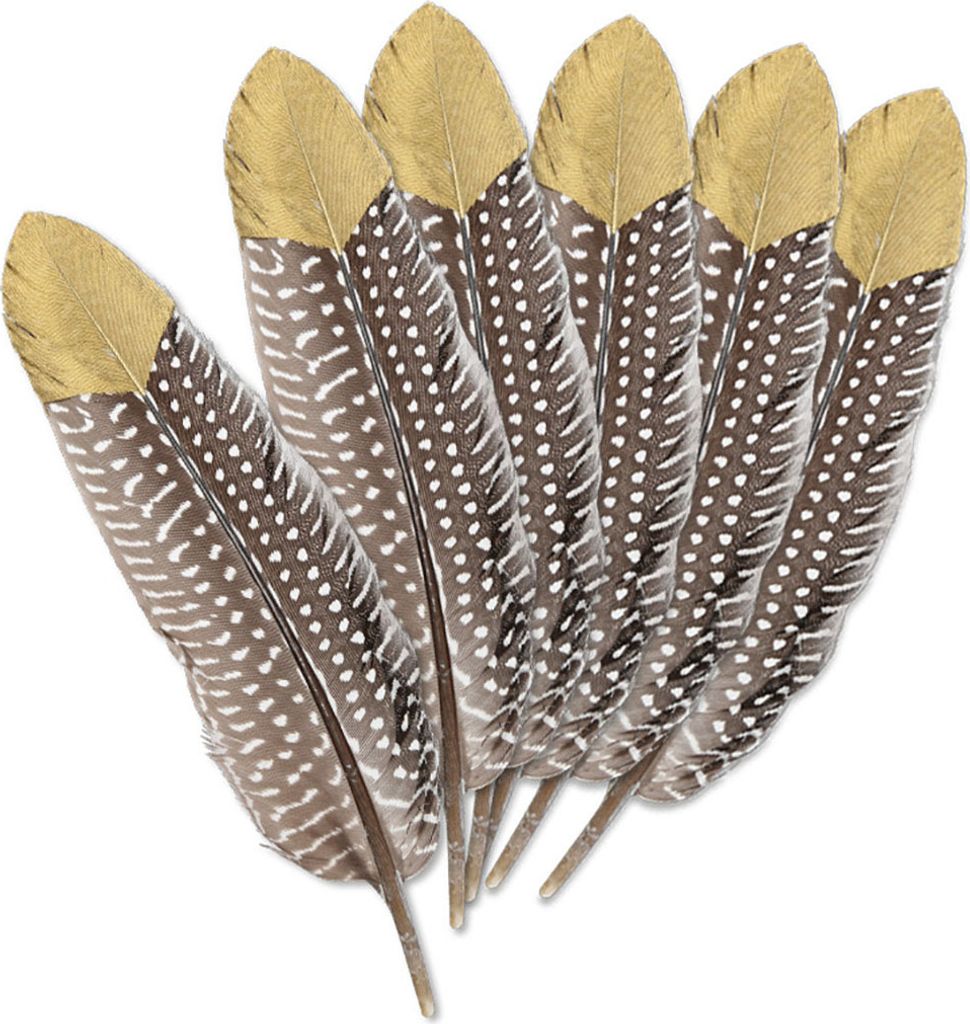 6 Stück Federn Braun Gold ca. 20 cm lang Basteln Karneval Fasching Indianer Deko