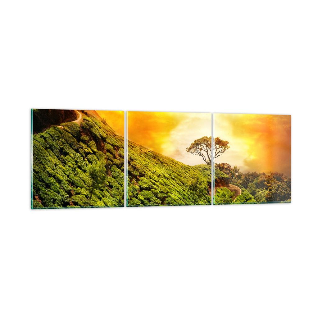 Bilder auf glas - Berg Baum Pfad Hügel - 120x40cm - Glasbilder - Wandbilder - Kunstdruck - zum Aufhängen bereit - Wanddekoration aus Glas - Glas ...