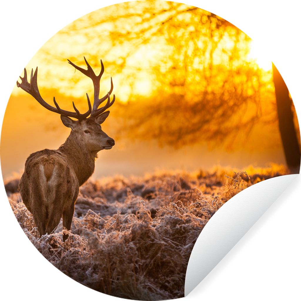 MuchoWow Runde Wandtattoo - Wandsticker Tapete Aufkleber Hirsche - Tiere - Sonnenuntergang - Winter - Heidekraut - Natur Ø 80 cm Selbstklebend u...