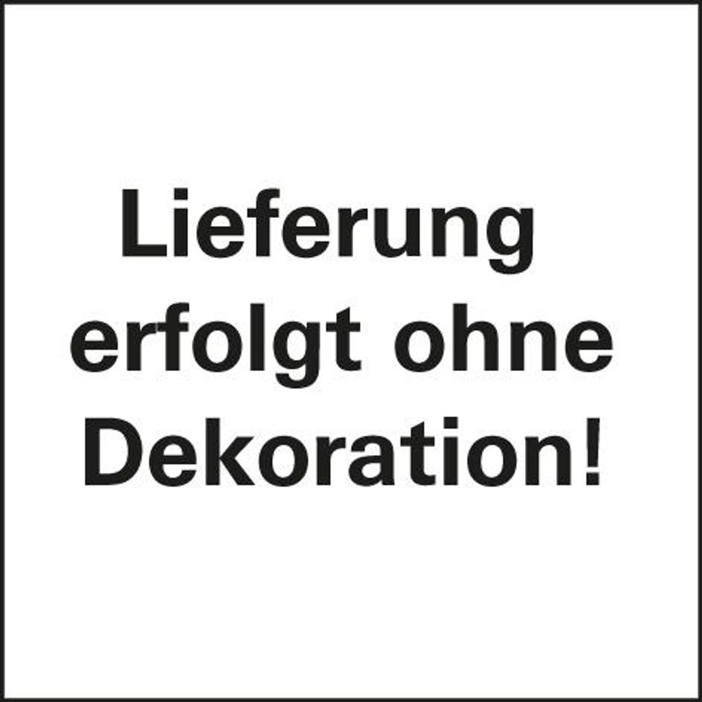 The image contains text on a white background, indicating that the delivery does not include decoration.