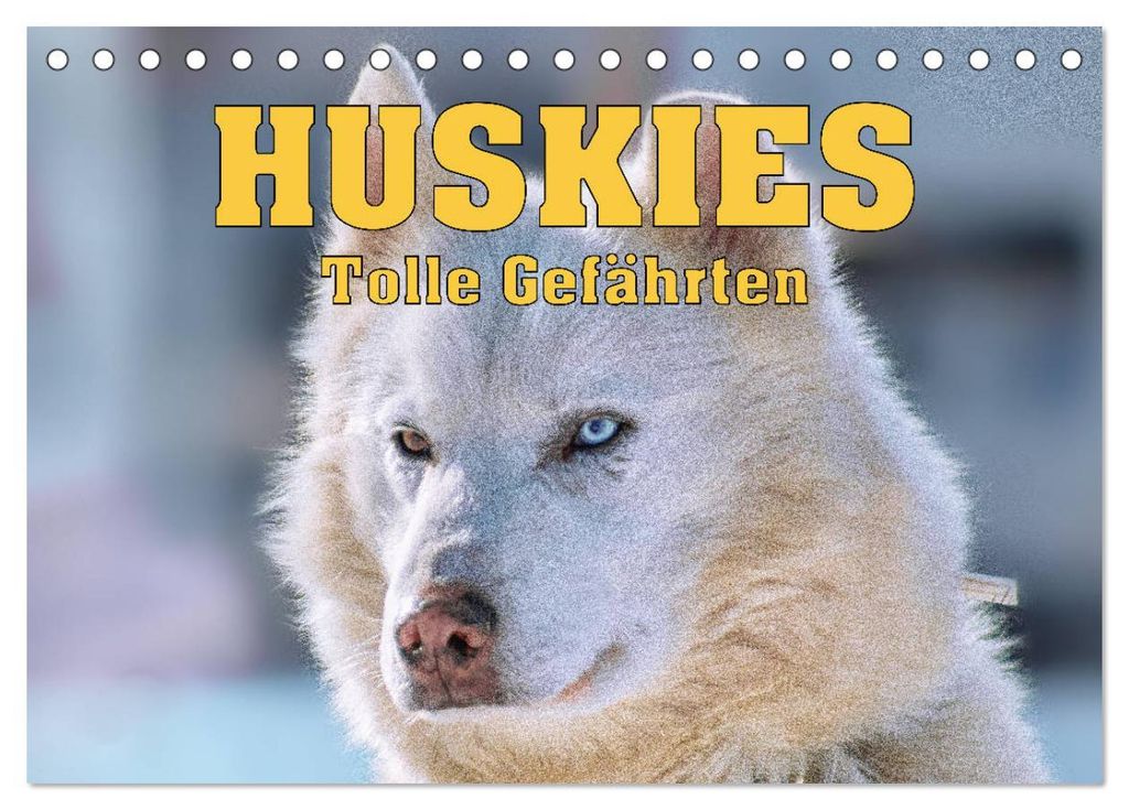 Huskies - Tolle Gefährten (Tischkalender 2027 DIN A5 quer), CALVENDO Monatskalender