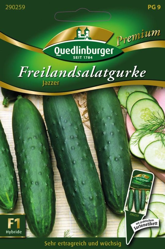 Quedlinburger Saatgut - Insalata di cetrioli in campo Immagine del prodotto 