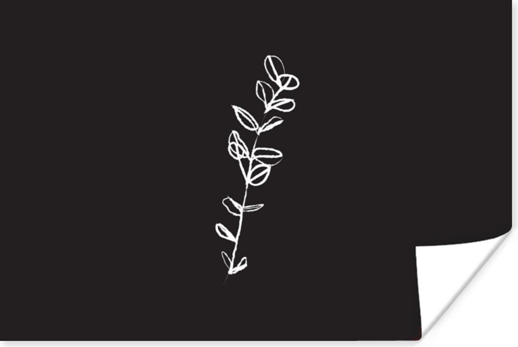 MuchoWow Poster Strichzeichnungen - Blätter - Schwarz - Weiß 180x120 cm - Fotoplakat