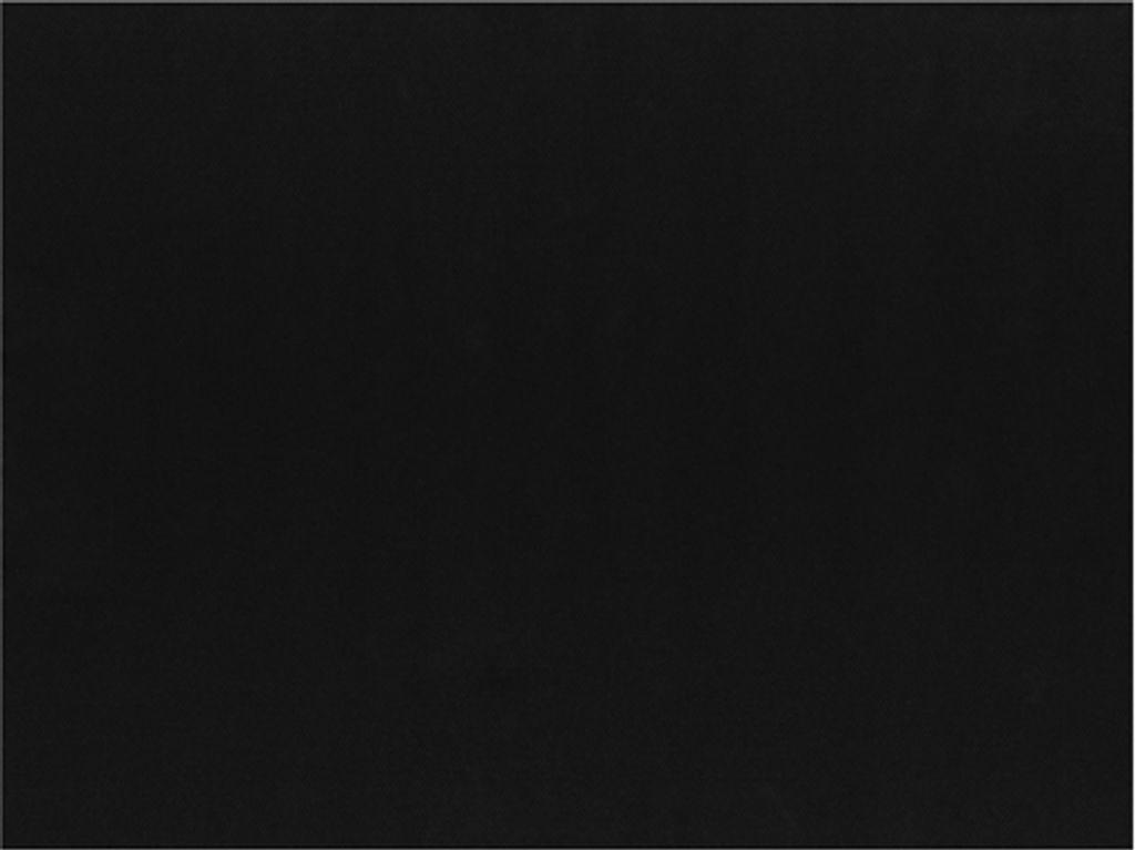 PAPSTAR Tischsets, 30x40 cm, schwarz, ideal für festliche Anlässe | Folie (100 Stück)
