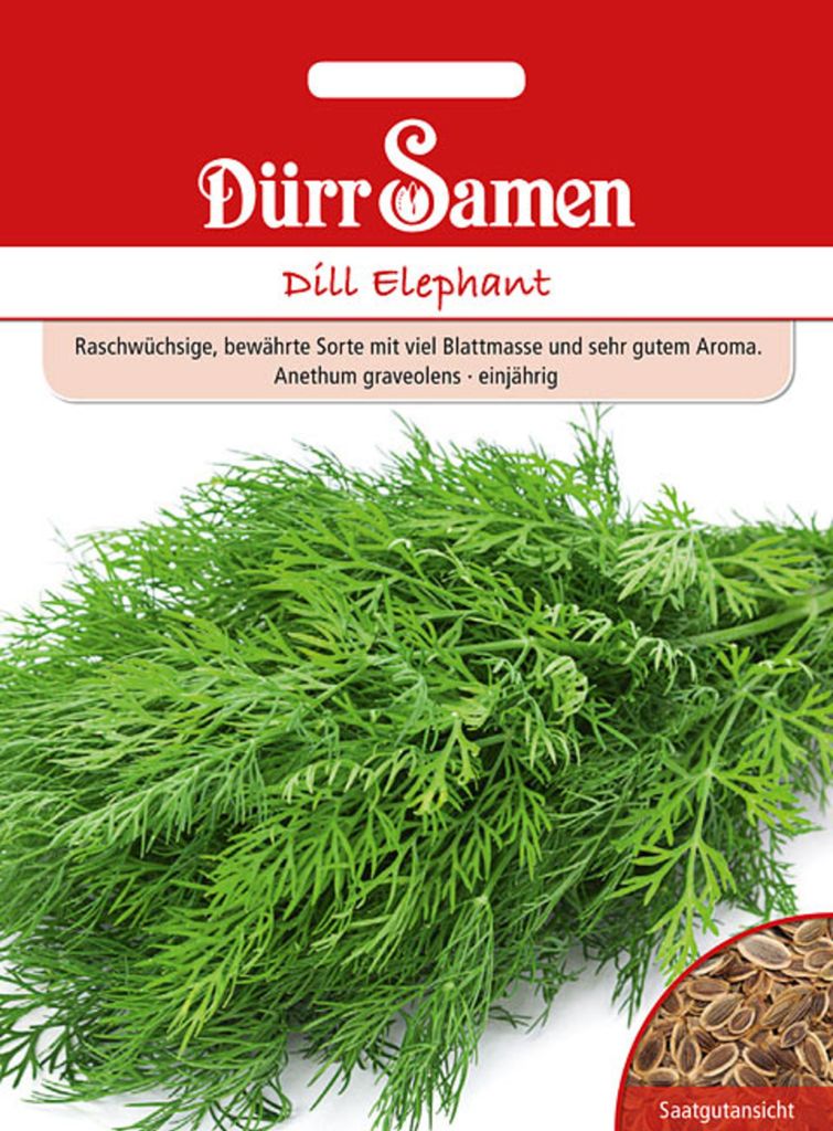 Dürr-Samen - Dill Elephant - Saatgut - 4383