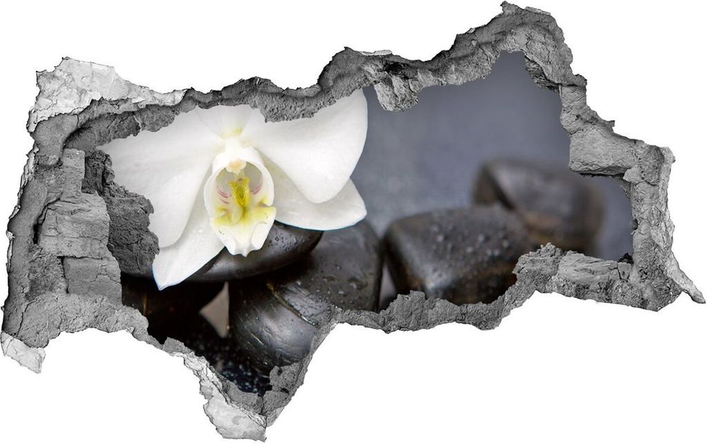 Selbstklebender Loch-3D-Aufkleber 95x73 cm Orchidee