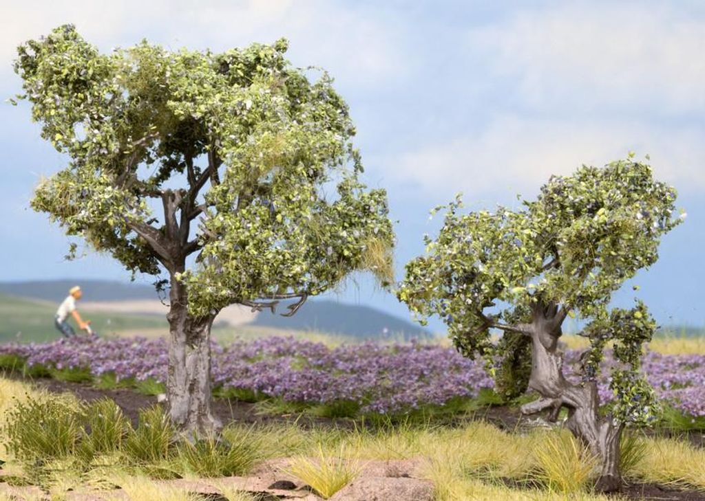 NOCH Olivenbäume, Modellbau Bäume, 2 Stück je 6 und 9 cm für mediterrane Szenen in H0 und TT und DIY Projekte geeignet