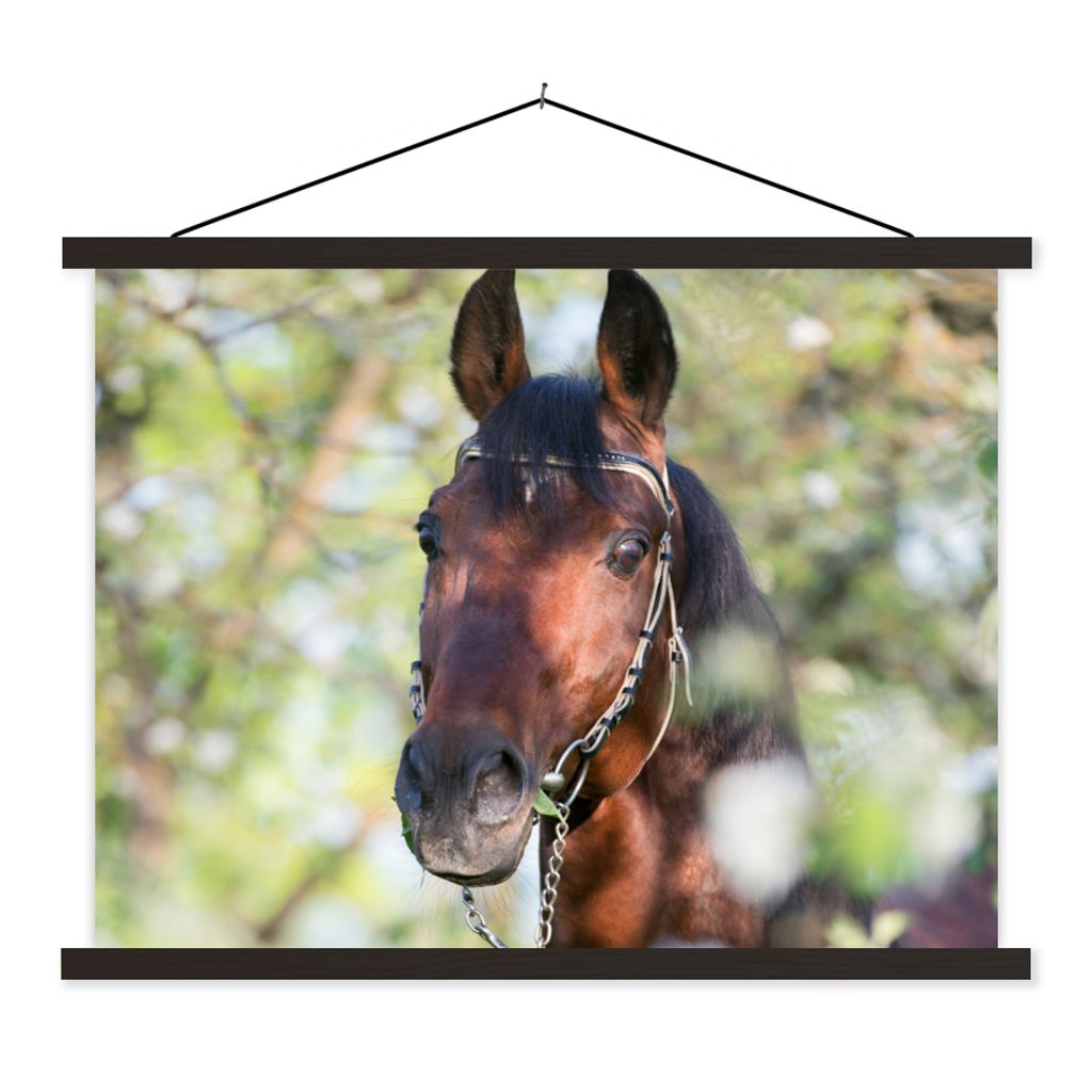 MuchoWow Textilposter Pferde - Blüte - Frühling - Tiere 150x113 cm mit schwarzem Rahmen - Wohnzimmer