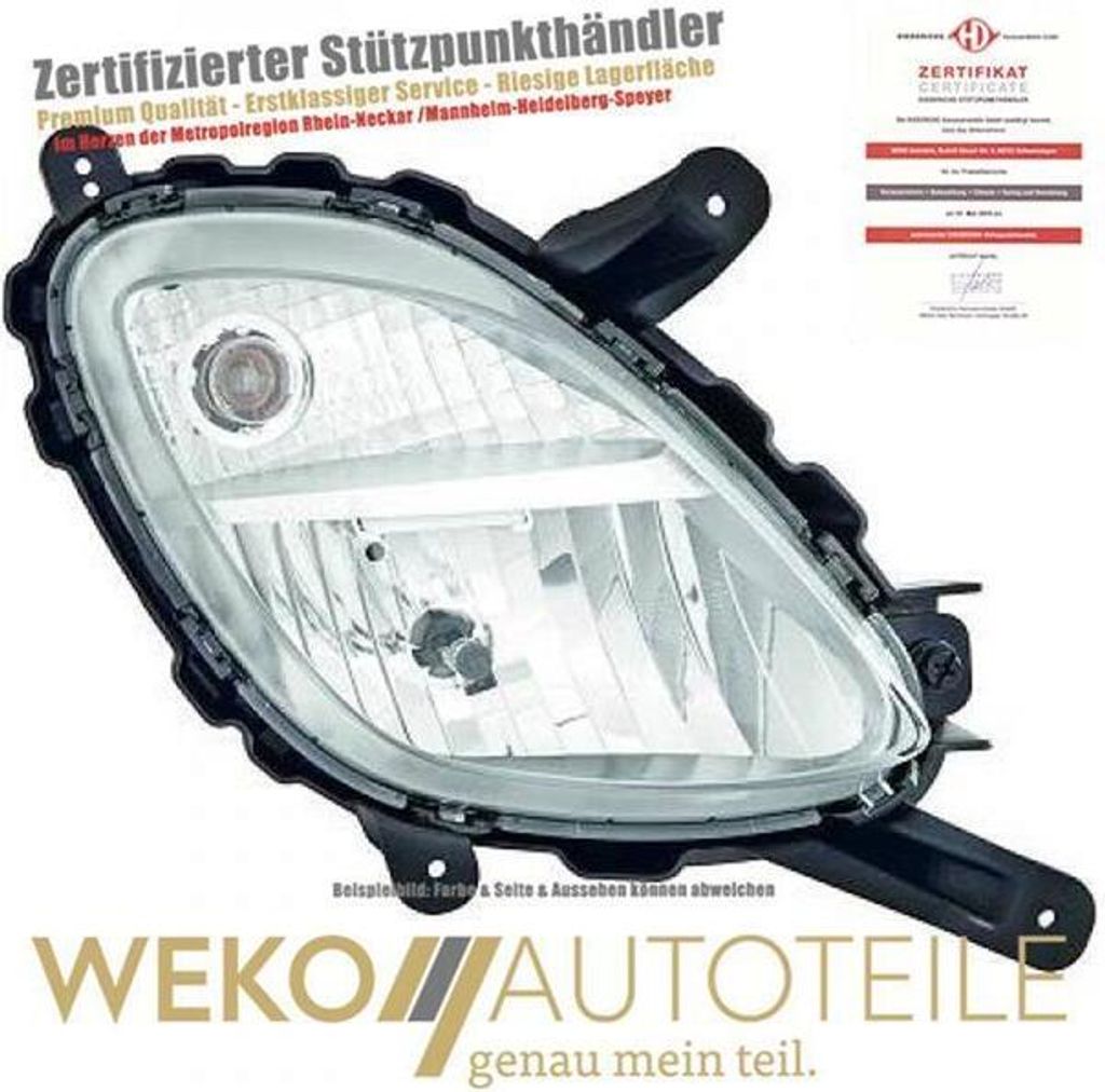 Nebelscheinwerfer links DIEDERICHS 6506289 für KIA