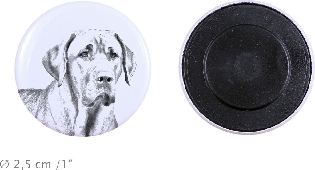 Schwarz-Lohfarbener Waschbärenhund, Black and Tan Coonhound Magnet mit einem Hundepfotenabdruck, außergewöhnlich leicht, starker Magnet, handgef...