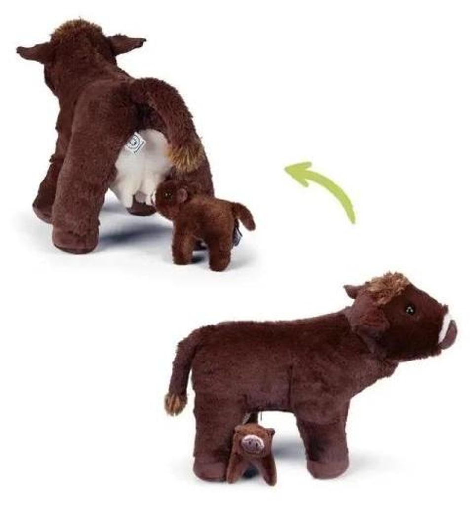 Mamanimals 2020608, Kuh