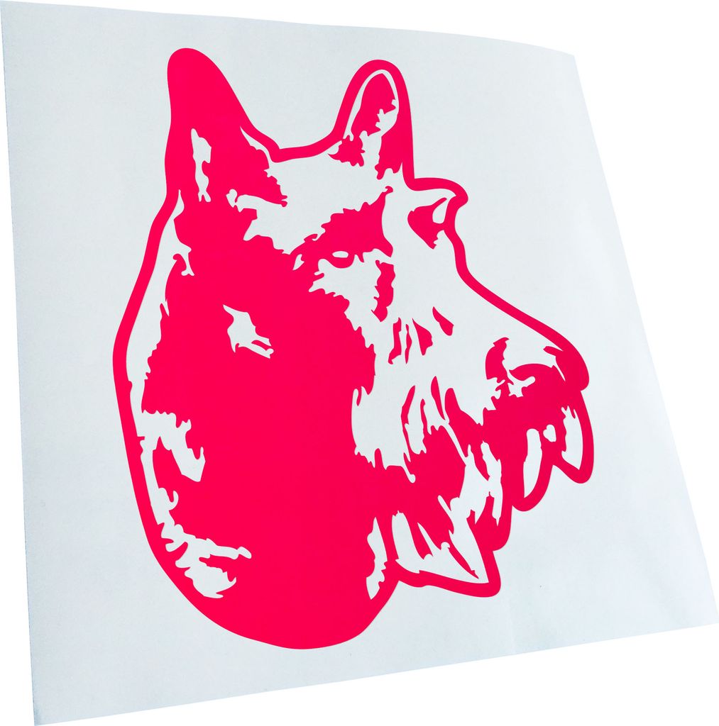 Kiwistar - Autoaufkleber - scottish terrier Hund - Neonpink - 50x42cm - Aufkleber für Auto, Laptop, Fahrrad, LKW, Motorrad mehrfarbig JDM Decal Ra...