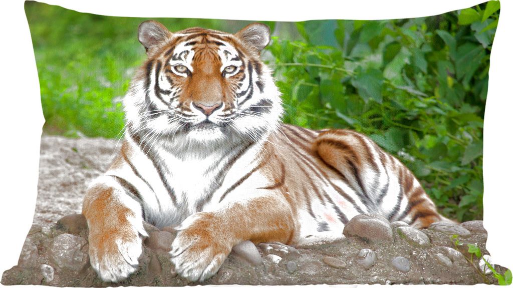 MuchoWow Zierkissen Sofakissen Wohnzimmer Dekokissen 50x30 cm Tiger - Natur - Steine - Wohnzimmerdekoration - Polster mit Photo