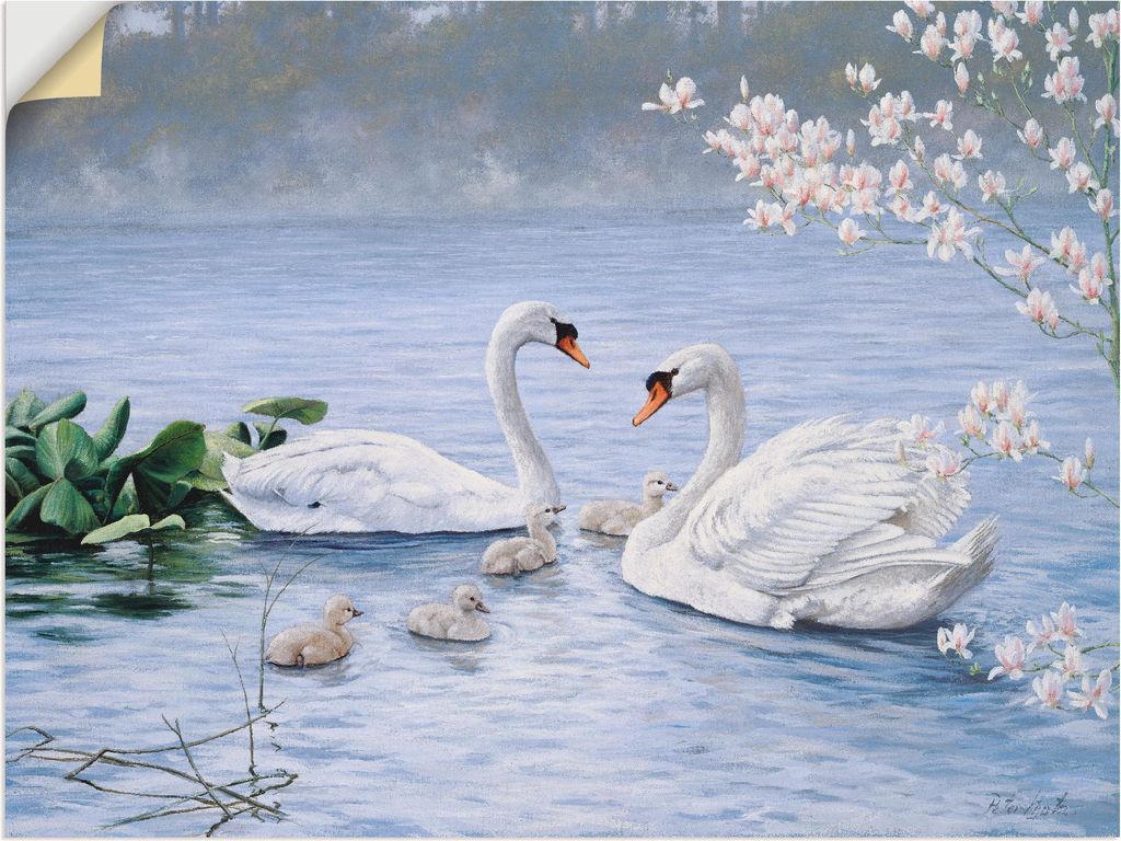 ARTland Wandbild, selbstklebend Stolze Schwanenfamilie Größe: 60x45 cm