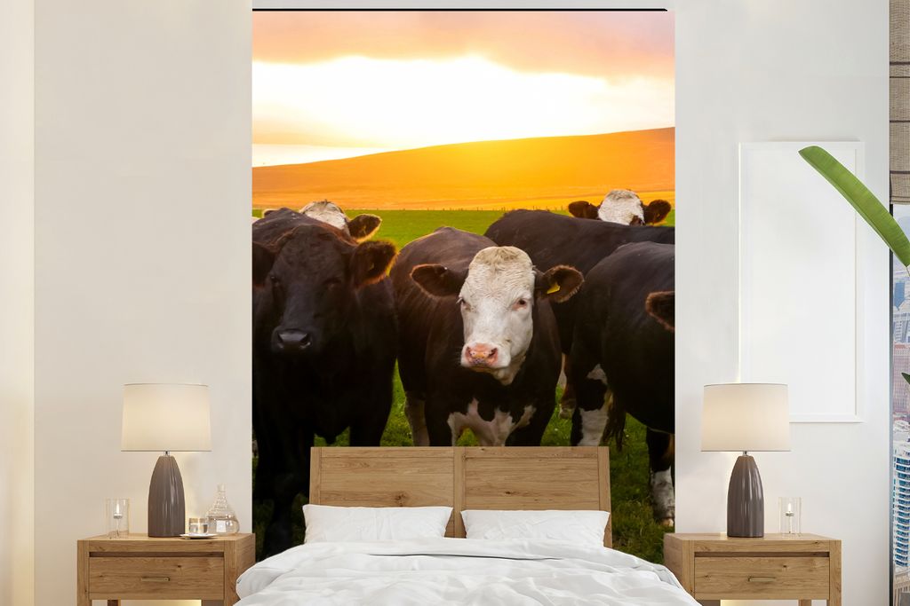 MuchoWow Fototapete für Wohnzimmer oder Schlafzimmer Wandtapete Vinyl Motivtapete Kühe - Hügel - Sonnenuntergang - Gras - Grün - 200x300 cm -...