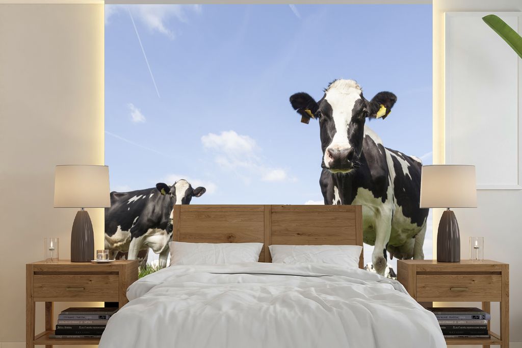 MuchoWow Fototapete für Wohnzimmer oder Schlafzimmer Wandtapete Vinyl Motivtapete Kühe - Gras - Tiere - Sonne - Bauernhof - 220x220 cm - Tapeten