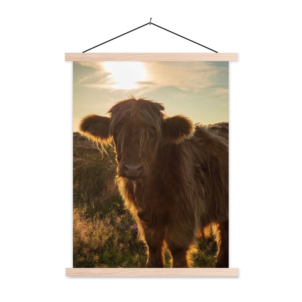 MuchoWow Textilposter Schottischer Highlander - Sonnenuntergang - Gras 120x160 cm mit holzfarbenen Rahmen - Plakatkarton