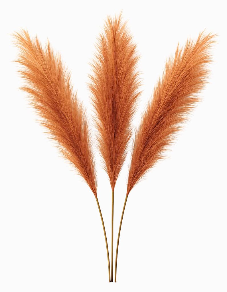 LAYBA Künstliches Pampasgras 3er-Set Orange 100 cm, 18 Produktbild 