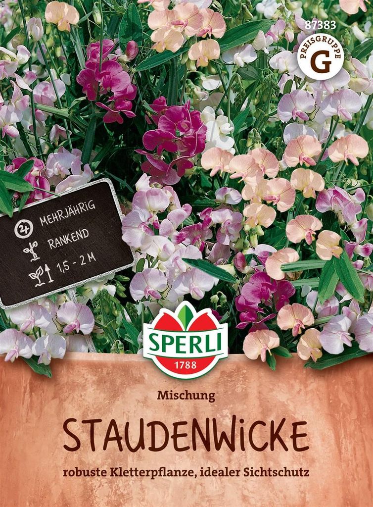 SPERLI Staudenwickensamen Mischung 30 Pflanzen Produktbild 