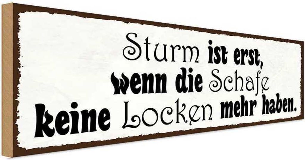 vianmo Holzschild 10x27 cm Sturm ist erst wenn die Schafe Dekoration