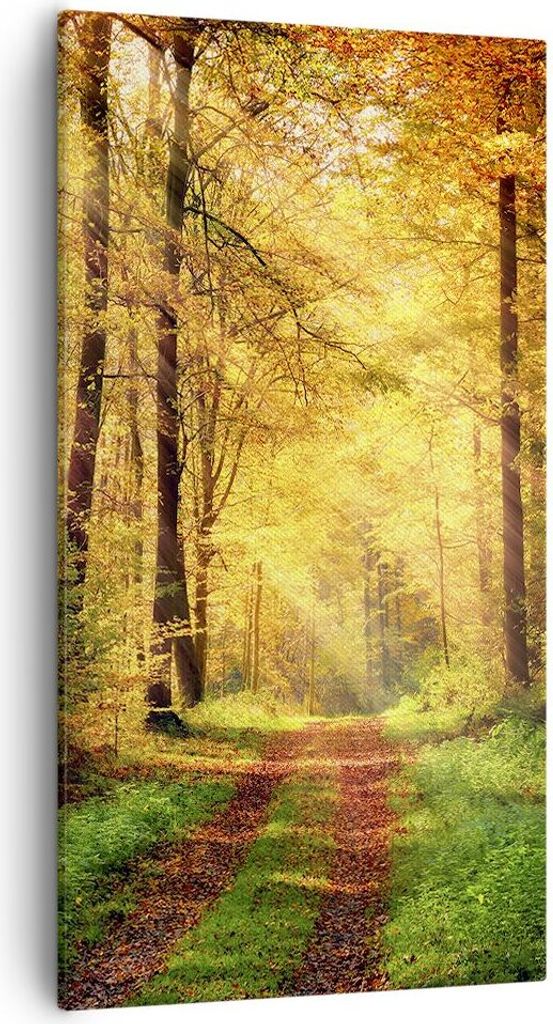 Bild auf Leinwand - Leinwandbild - Wald Baum Natur - 55x100cm - Wand Bild - Wanddeko - Wandbilder - Leinwanddruck - Bilder - Kunstdruck - Wanddekor...