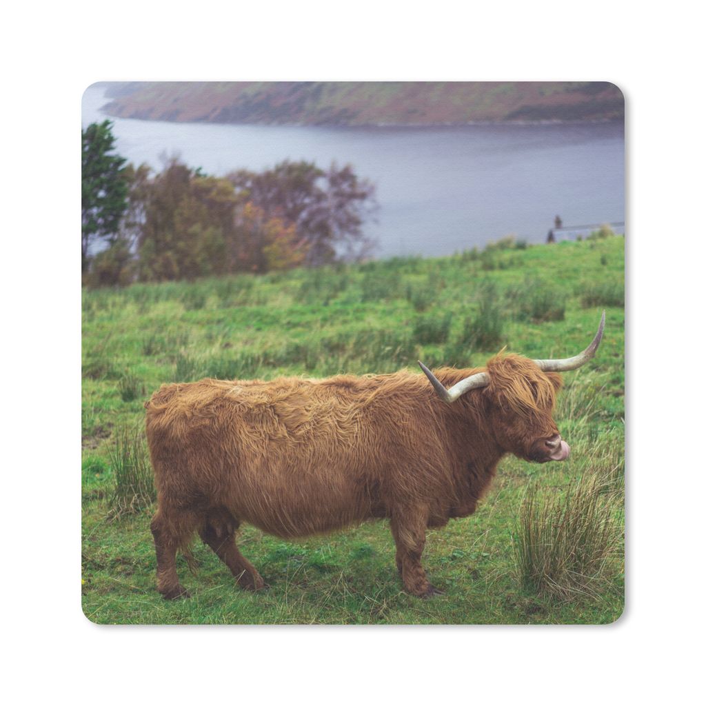 MuchoWow Mauspad Mousepad Schottische Highlander - Gras - Wasser - Tiere 20x20 cm - Mousepads - Maus Mat - Pad - Mausunterlage - Desk Mat - Burea...