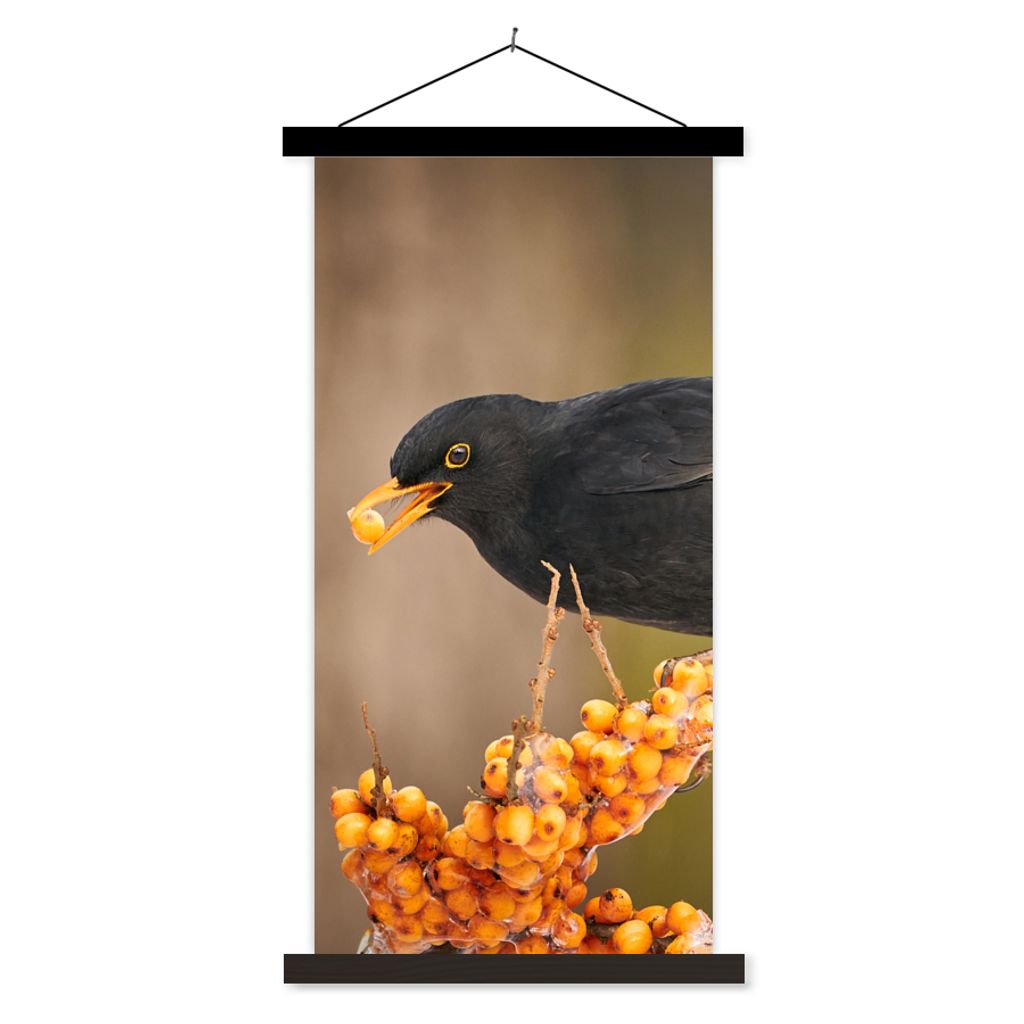 MuchoWow Textilposter Vogel - Amsel - Winter - Eis - Beere 40x80 cm mit schwarzem Rahmen - Wandemalerei