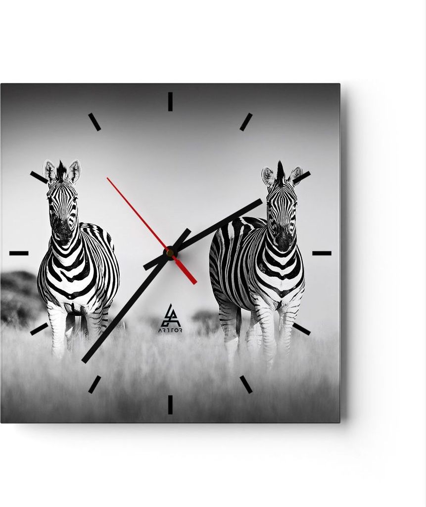 Wanduhr - Quadrat - Glasuhr - Zebras Fotografie Schwarzweiß - 30x30cm - Schleichendes Uhrwerk - Lautlos - zum Aufhängen bereit - Dekoration Moder...