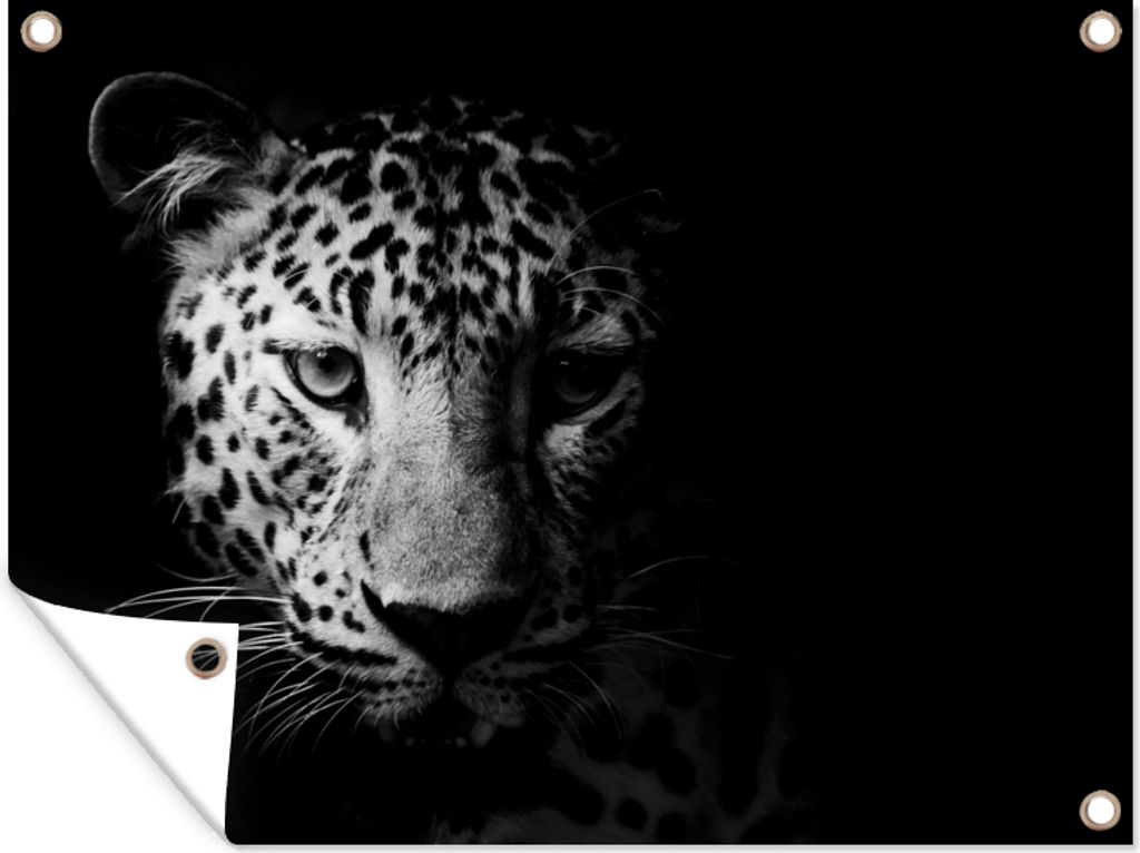 MuchoWow 120x90 cm Outdoor-Poster Gartendeko Sichtschutz Garten Poster für den Garten Panther - Wildtiere - Schwarz und weiß - Tiere